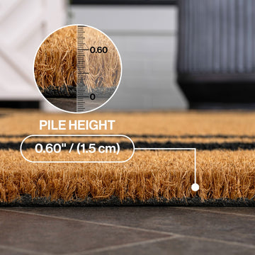 Blaire Modern Classic Double Border Area Rug